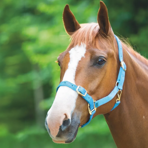 Take My Tack