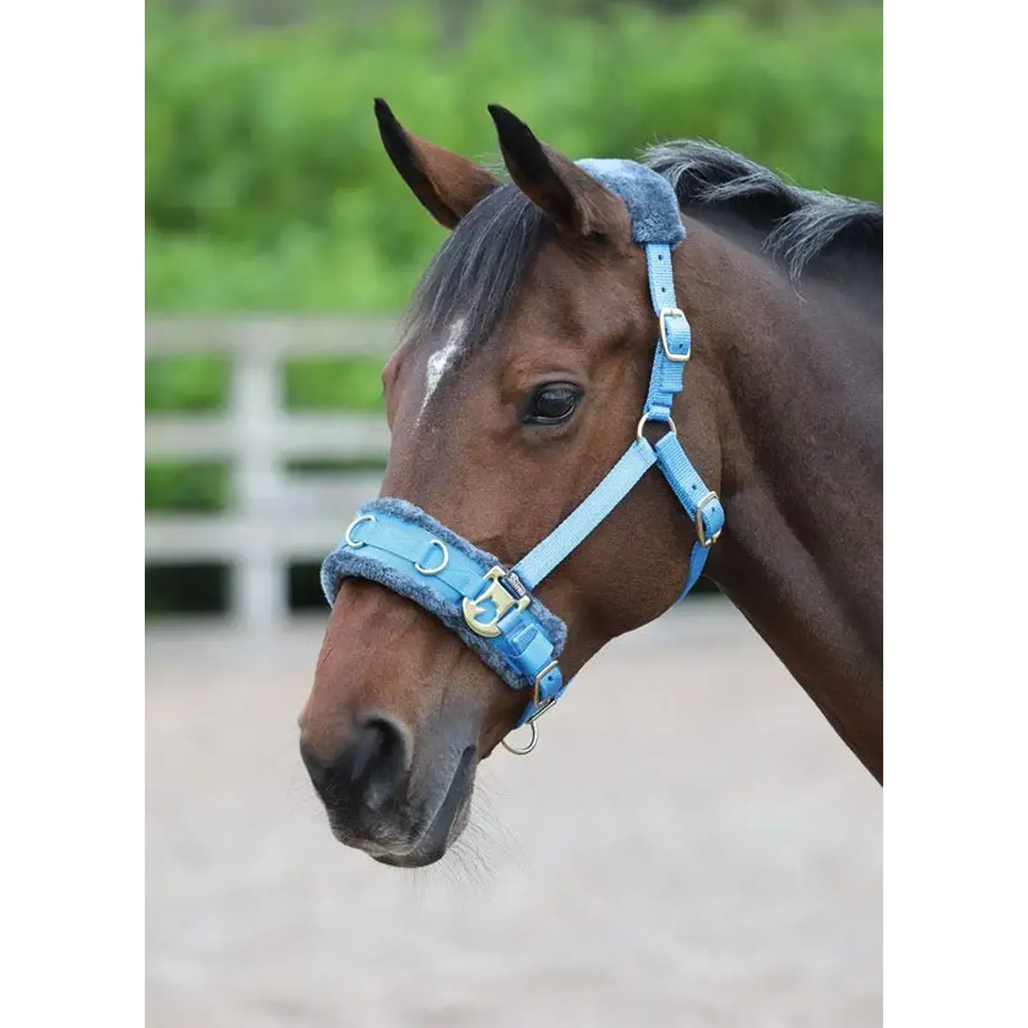 Fleece Lined Lunge Cavesson - Image 2