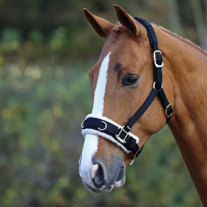 Take My Tack