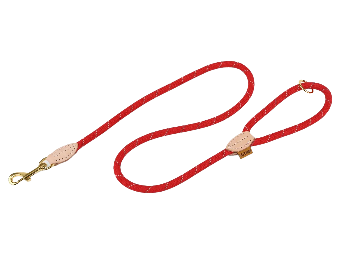 Reflective Dog Lead